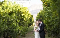 Cabrières_dAvignon_wedding_photos Cabrières_dAvignon_wedding_photos